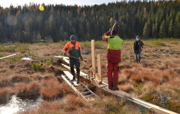 Kärnten: Sanierung St. Lorenzener Hochmoor